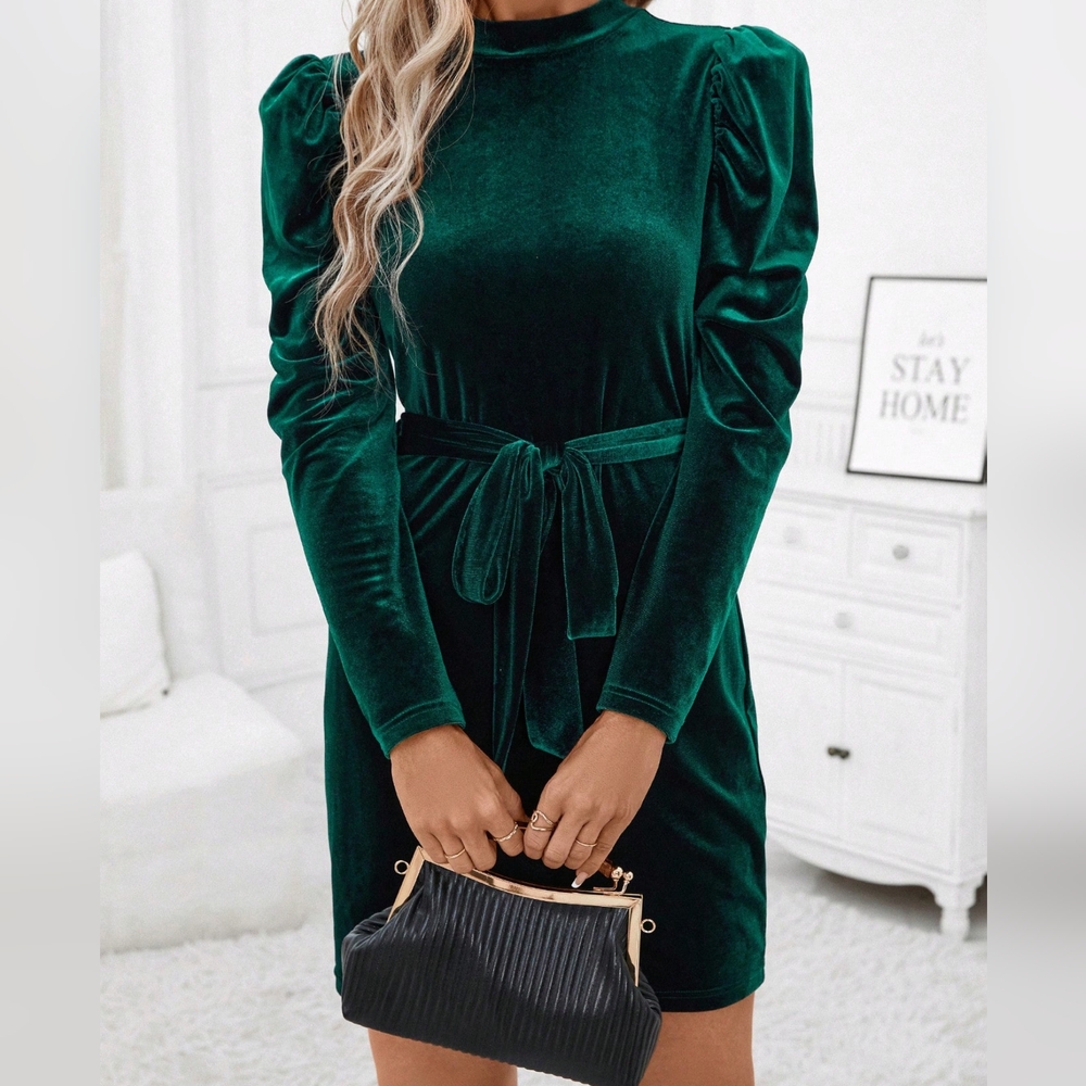 Mock Neck Puff Sleeve Belted Velvet Dress - Picture 3 of 5
